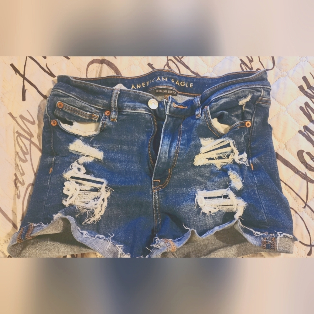 American Eagle Next Level